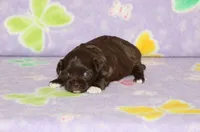 processed/c1fe3402-e96f-4e6f-a54f-d367090e9393/listing/7d2e30f4-29fb-401e-af70-e4576a787291/5bc8409e-097d-4bd1-870f-a97126082dd9