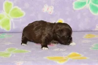 processed/c1fe3402-e96f-4e6f-a54f-d367090e9393/listing/7d2e30f4-29fb-401e-af70-e4576a787291/da6488ea-1bcd-48db-966d-aecadfaee5bd