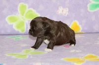 processed/c1fe3402-e96f-4e6f-a54f-d367090e9393/listing/7d2e30f4-29fb-401e-af70-e4576a787291/db6ab8c4-2025-40bd-9faf-4a5d67a5d6df