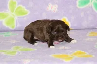 processed/c1fe3402-e96f-4e6f-a54f-d367090e9393/listing/7d2e30f4-29fb-401e-af70-e4576a787291/e64f5e8d-ac37-4024-9596-ea3ca148d5bf