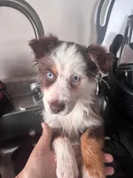 processed/c2039726-bf33-4f56-8c18-42c6c5276a3d/listing/3b4b690d-b555-470b-aa68-fd61992a53df/47f5084a-da8c-45c6-b276-e849af0eb12f