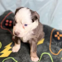 processed/c2039726-bf33-4f56-8c18-42c6c5276a3d/listing/3b4b690d-b555-470b-aa68-fd61992a53df/73e5f81e-0486-464c-872c-7bf47ccc7817