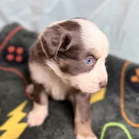 processed/c2039726-bf33-4f56-8c18-42c6c5276a3d/listing/3b4b690d-b555-470b-aa68-fd61992a53df/9be565f5-411e-4452-9f59-bf8e5b80920d