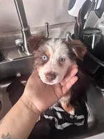 processed/c2039726-bf33-4f56-8c18-42c6c5276a3d/listing/3b4b690d-b555-470b-aa68-fd61992a53df/e56fe82f-e3df-469b-b4d5-0d3840754bac