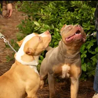 processed/c20460f4-9e69-4356-b952-e6b7020b38ba/facility/209166b5-aa92-4b16-b308-56a292814501