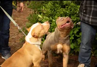 processed/c20460f4-9e69-4356-b952-e6b7020b38ba/facility/209166b5-aa92-4b16-b308-56a292814501