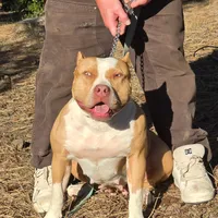 processed/c20460f4-9e69-4356-b952-e6b7020b38ba/facility/2e197bea-c459-4ec6-abbd-799f779d2833