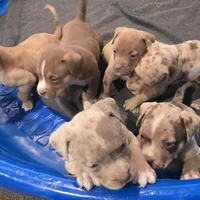 processed/c20460f4-9e69-4356-b952-e6b7020b38ba/facility/321a671f-3538-42d5-9975-f91964d27446