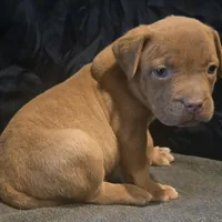 processed/c20460f4-9e69-4356-b952-e6b7020b38ba/facility/49e3db17-bbcd-4295-bc07-3481e62ad4e9