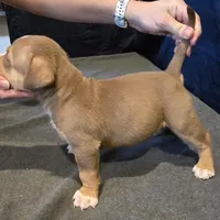 processed/c20460f4-9e69-4356-b952-e6b7020b38ba/facility/c157c40f-0589-49ef-99ba-c1be49652492