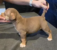 processed/c20460f4-9e69-4356-b952-e6b7020b38ba/facility/c157c40f-0589-49ef-99ba-c1be49652492