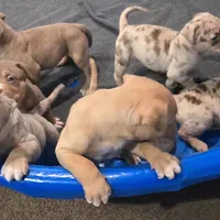 processed/c20460f4-9e69-4356-b952-e6b7020b38ba/facility/dd2713d8-9deb-439e-85e7-9efaf841e54b