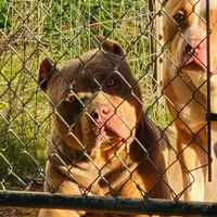 processed/c20460f4-9e69-4356-b952-e6b7020b38ba/facility/f9df9468-ac29-48fd-98c0-e198f7196105