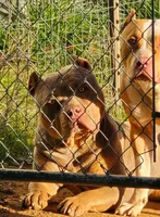 processed/c20460f4-9e69-4356-b952-e6b7020b38ba/facility/f9df9468-ac29-48fd-98c0-e198f7196105