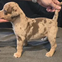 processed/c20460f4-9e69-4356-b952-e6b7020b38ba/facility/ff33b670-09f6-4ed5-9271-3c67502b8a81