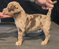 processed/c20460f4-9e69-4356-b952-e6b7020b38ba/facility/ff33b670-09f6-4ed5-9271-3c67502b8a81