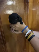 Black, brown, white, a male Shihpoo for sale in Carthage, TN – 6 of 10