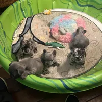 processed/c205e9f5-837e-42e6-b6e9-64c83af1f962/facility/83c23829-efe6-4c3c-a75e-769b18cf6f27