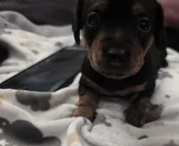 processed/c20c4e3b-e690-4376-9778-10eeef64f583/listing/2369bb59-b1f6-4cb0-8053-b512ab054250/13daa1f7-3a52-42d4-8604-5cc8567ae6dc