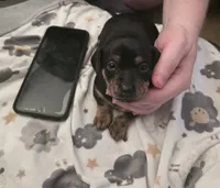 processed/c20c4e3b-e690-4376-9778-10eeef64f583/listing/2369bb59-b1f6-4cb0-8053-b512ab054250/22072f62-2d33-454c-8407-f09ca2636dfe