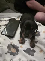 processed/c20c4e3b-e690-4376-9778-10eeef64f583/listing/7f11bd8a-d61c-42a3-962c-02c17abc1059/01ed8f28-7422-4885-a80c-bcdf55d04302