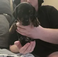 processed/c20c4e3b-e690-4376-9778-10eeef64f583/listing/7f11bd8a-d61c-42a3-962c-02c17abc1059/6a43d2c5-d535-446d-b207-c5b958ac7d1e