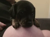 processed/c20c4e3b-e690-4376-9778-10eeef64f583/listing/7f11bd8a-d61c-42a3-962c-02c17abc1059/f2f747ae-9fc9-458d-92e8-dc910c3e29a0