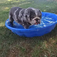 processed/c20e0c21-539c-4cb0-8b20-161f0a3a258c/facility/30355134-dd5f-43bc-898b-7f783b339ff1