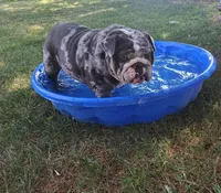 processed/c20e0c21-539c-4cb0-8b20-161f0a3a258c/facility/30355134-dd5f-43bc-898b-7f783b339ff1