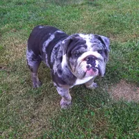 processed/c20e0c21-539c-4cb0-8b20-161f0a3a258c/facility/87ccf0de-fc9a-4700-9ab2-73e834348a5a