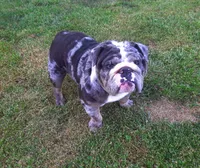 processed/c20e0c21-539c-4cb0-8b20-161f0a3a258c/facility/87ccf0de-fc9a-4700-9ab2-73e834348a5a