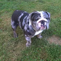 processed/c20e0c21-539c-4cb0-8b20-161f0a3a258c/facility/a26964fe-715d-4317-8e27-0318e06b275a