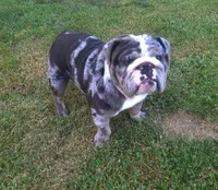 processed/c20e0c21-539c-4cb0-8b20-161f0a3a258c/facility/a26964fe-715d-4317-8e27-0318e06b275a