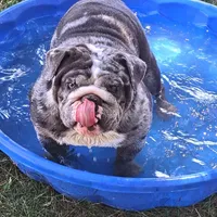 processed/c20e0c21-539c-4cb0-8b20-161f0a3a258c/facility/ca2be53e-13de-48f0-82d8-f1d2216c7ab0