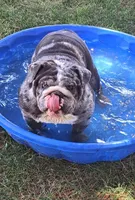 processed/c20e0c21-539c-4cb0-8b20-161f0a3a258c/facility/ca2be53e-13de-48f0-82d8-f1d2216c7ab0