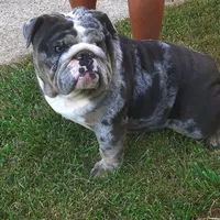 processed/c20e0c21-539c-4cb0-8b20-161f0a3a258c/facility/d8c81d87-36eb-4d03-b471-73cd534db8b5