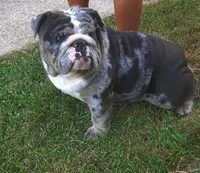 processed/c20e0c21-539c-4cb0-8b20-161f0a3a258c/facility/d8c81d87-36eb-4d03-b471-73cd534db8b5