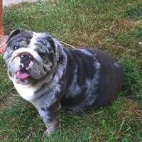 processed/c20e0c21-539c-4cb0-8b20-161f0a3a258c/facility/eb84c21d-020a-469d-9923-9a019dafda32