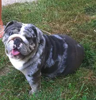 processed/c20e0c21-539c-4cb0-8b20-161f0a3a258c/facility/eb84c21d-020a-469d-9923-9a019dafda32