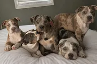 processed/c2168df6-4057-46fe-bb21-852c700d1233/facility/371876f4-36c1-4d19-9263-25a735c686fa