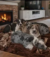 processed/c2168df6-4057-46fe-bb21-852c700d1233/facility/44289818-f3f1-4152-8930-de91f6bcffdf