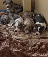 processed/c2168df6-4057-46fe-bb21-852c700d1233/facility/45bad159-7ca9-4f70-9eed-4e378e76151d