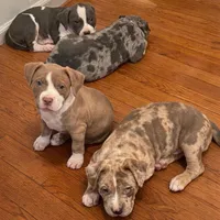 processed/c2168df6-4057-46fe-bb21-852c700d1233/facility/605b1bd3-fce2-49de-95a1-3d2fe1210d05