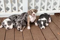 processed/c2168df6-4057-46fe-bb21-852c700d1233/facility/8dda6f55-c98b-48ee-a8ba-c61874ef57cd