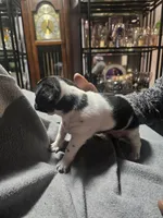 processed/c2220a79-48f8-4ab3-b877-40474a59be2d/listing/2f19b640-56b4-40a4-bafe-f0f7bbfc8389/646df61a-e4e5-45d6-abdc-673a628a5f13