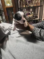 processed/c2220a79-48f8-4ab3-b877-40474a59be2d/listing/5007264c-d182-4438-90ab-f21794638ae0/3828a04d-b409-4745-9d3e-4b365a626e86