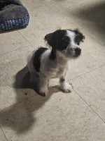 processed/c2220a79-48f8-4ab3-b877-40474a59be2d/listing/5007264c-d182-4438-90ab-f21794638ae0/6e2ed121-5ce8-4e65-9a93-69bc3688d1f4