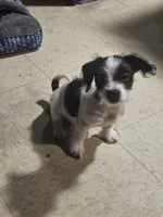 processed/c2220a79-48f8-4ab3-b877-40474a59be2d/listing/5007264c-d182-4438-90ab-f21794638ae0/eb961d3d-8054-46c7-b1ca-ee912663b8a5