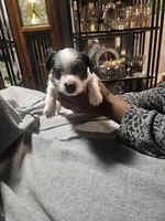 processed/c2220a79-48f8-4ab3-b877-40474a59be2d/listing/5007264c-d182-4438-90ab-f21794638ae0/ed04a5fa-5ffe-42cd-bd95-9e720369d118