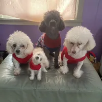 processed/c227fb94-1c98-4094-a13e-15953c46feee/facility/5c987052-6bc0-40e5-a244-db89ae2c091d